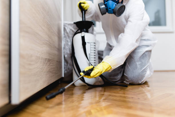 Best Pest Control Near Me in Wagener, SC