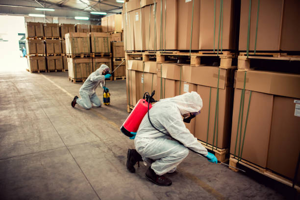 Best Mosquito Control Services  in Wagener, SC