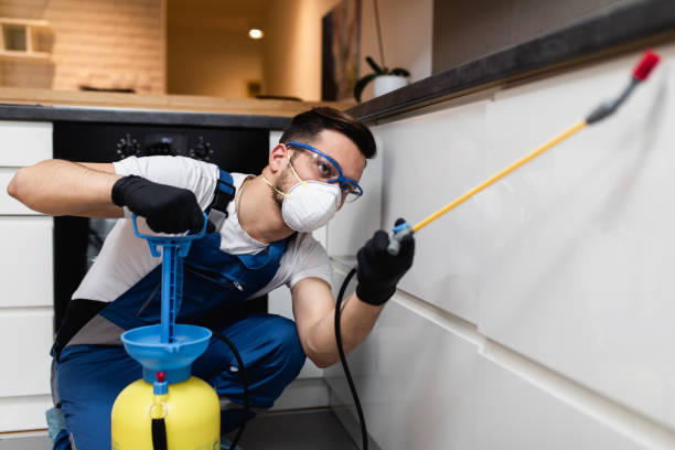 Best Pest Removal Services  in Wagener, SC
