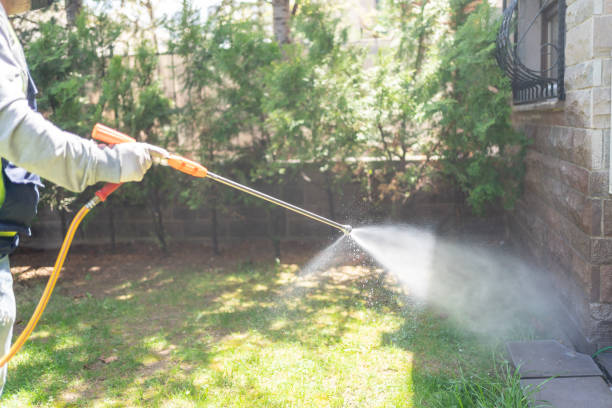 Insect Control in Wagener, SC