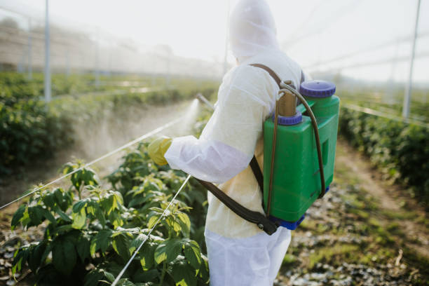 Best Pest Prevention Services  in Wagener, SC